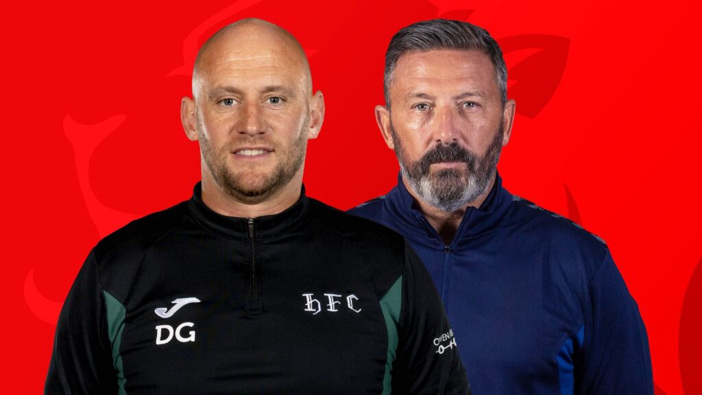 skysports-mcinnes-gray-hibs_7118846.jpg