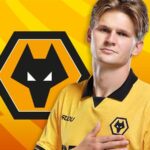 skysports-wolves-david-moller-wolfe_7101890.jpg
