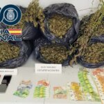 suceso-petrer-marihuana-U02532580473mrR-1024x512@diario_abc.jpg