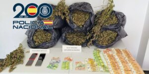 suceso-petrer-marihuana-U02532580473mrR-1024x512@diario_abc.jpg