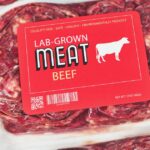 0_Lab-grown-cultured-meat-concept-for-artificial-in-vitro-cell-culture-meat-production-with-frozen-p.jpeg
