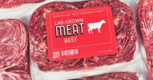 0_Lab-grown-cultured-meat-concept-for-artificial-in-vitro-cell-culture-meat-production-with-frozen-p.jpeg