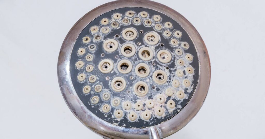 0_Limescale-will-look-like-discoloured-stains-around-the-shower-head-jet-holes.jpg