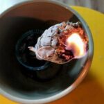0_Sage-stick-burning.jpg