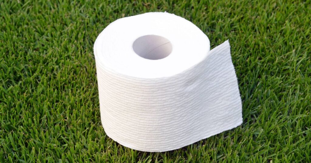 0_Toilet-Paper-on-a-Lawn.jpg
