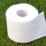 0_Toilet-Paper-on-a-Lawn.jpg