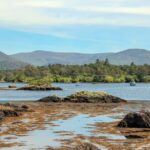 0_Travelling-through-the-Ring-of-Beara-landscape-summer-Ireland.jpg