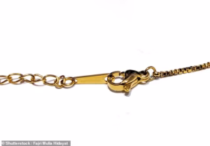 105282887-15439273-Tarnished_A_jeweller_replaced_a_reader_s_18ct_gold_necklace_clas-m-10_17677308959.avif