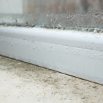 2_Black-mold-fungus-growing-on-windowsill-Dampness-problem-concept-Condensation-on-the-window.jpg
