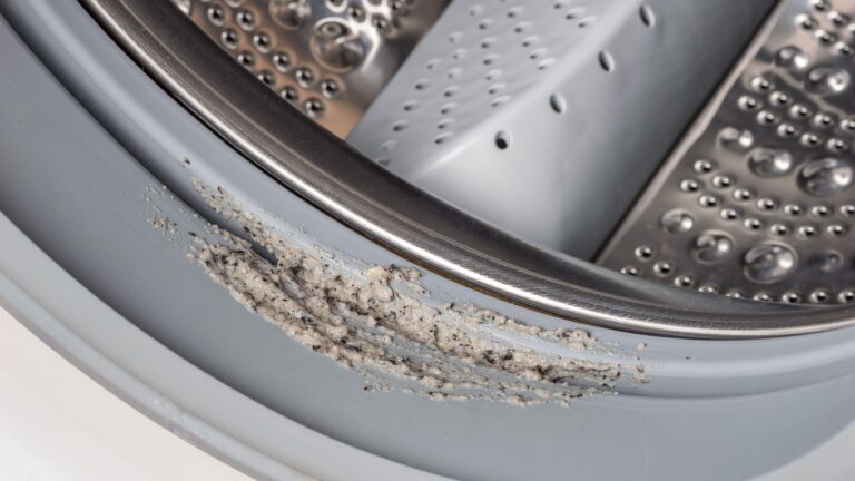 2x0n3ya-dirty-moldy-washing-machine-943406680.jpg
