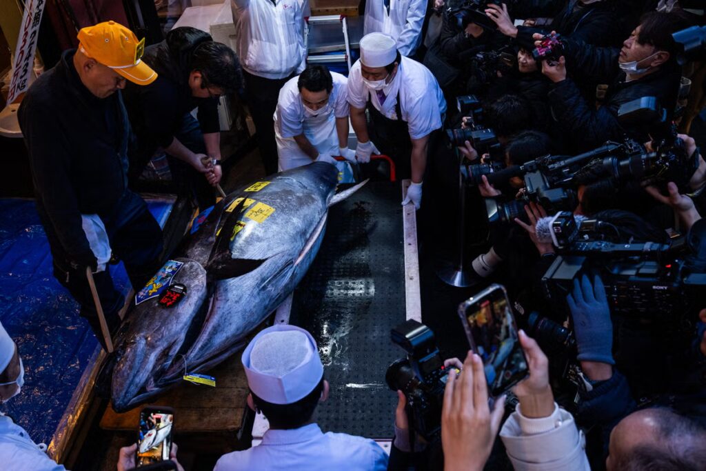 APTOPIX_Japan_Tuna_Auction_18750.jpg