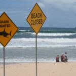Australia_Shark_Attacks_35827.jpg
