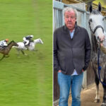HB-OFF-PLATFORM-CLARKSON-HORSE.jpg