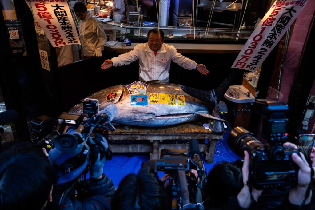 Japan_Tuna_Auction_73259.jpg