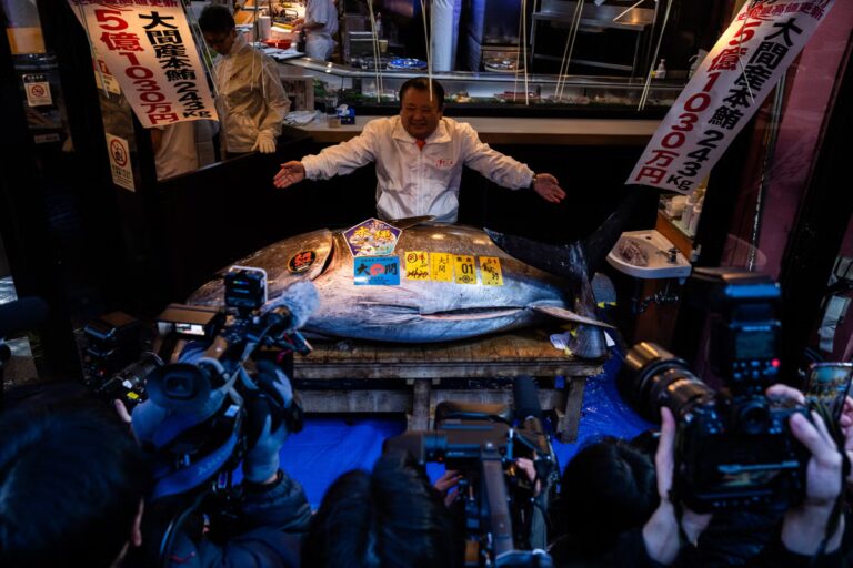 Japan_Tuna_Auction_73259.jpg