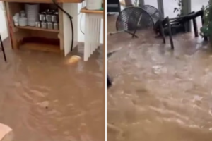 Otterton-Mill-devastated-by-Storm-Chandra-flooding.png