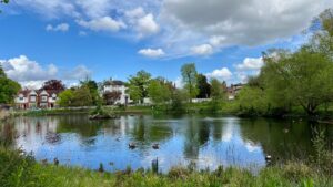 explore-beautiful-pond-chislehurst-common-1051092971_78adb4.jpg