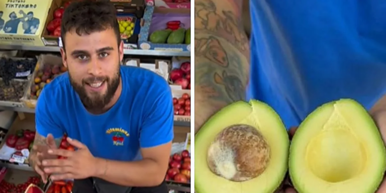 frutero-explica-aguacate-kzGH-U1014309522660QG-1024x512@diario_abc.png