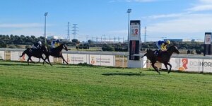jaime-gelabert-hipodromo-andalucia-U86867380227QuX-1024x512@diario_abc.jpeg