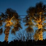 palm-trees-decorated-fairy-lights-1049705909.jpg