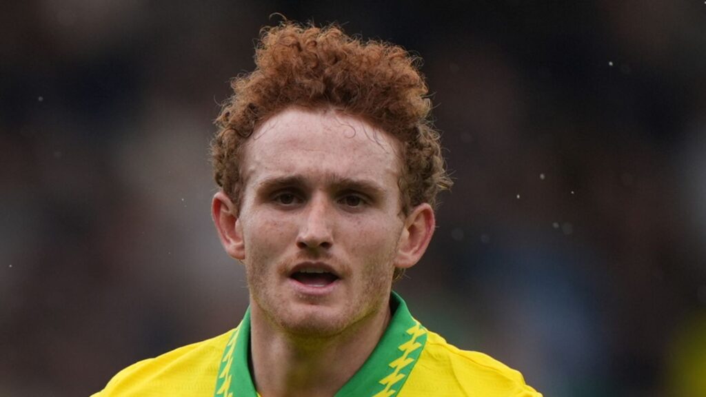 skysports-josh-sargent-norwich_7121722.jpg