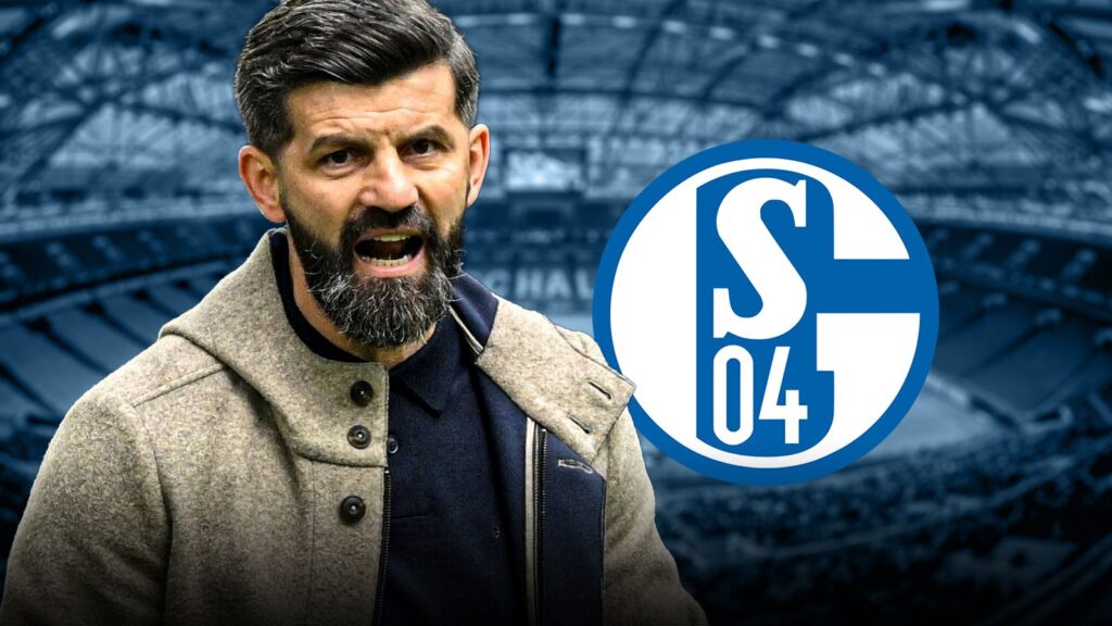 skysports-miron-muslic-schalke_7134506.jpg