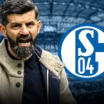 skysports-miron-muslic-schalke_7134506.jpg