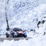 thierry-neuville-martijn-wydae-2.jpg