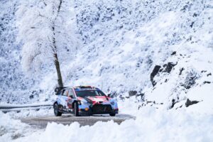 thierry-neuville-martijn-wydae-2.jpg