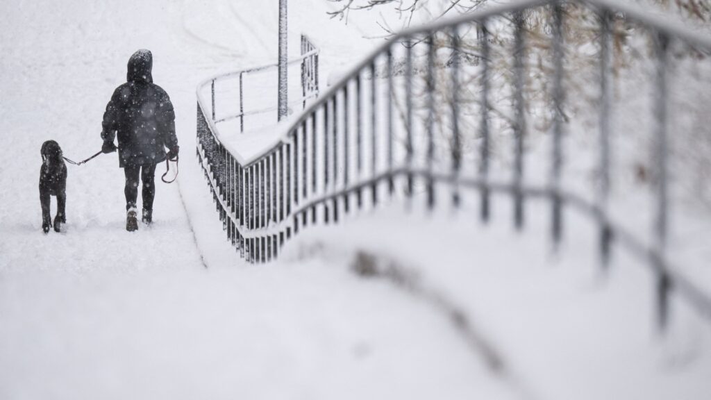 woman-walks-dog-heavy-snow-1048869958.jpg