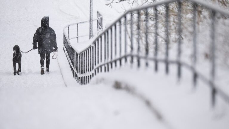 woman-walks-dog-heavy-snow-1048869958.jpg