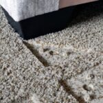 0_Furniture-Indentations-in-Beige-Carpet.jpg