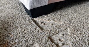 0_Furniture-Indentations-in-Beige-Carpet.jpg