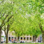 0_Green-park-space-in-Downtown-Oslo-Norway.jpg