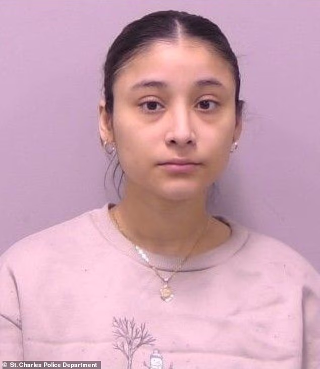 106212287-15540233-Yizel_J_Juarez_23_of_Sycamore_Illinois_was_charged_with_six_misd-a-5_177059460602.avif