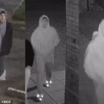 106240563-15543589-Sussex_Police_have_released_pictures_of_a_person_who_they_believ-a-2_177066735206.avif