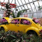 APTOPIX_Orchid_Show_Chicago_26469.jpg