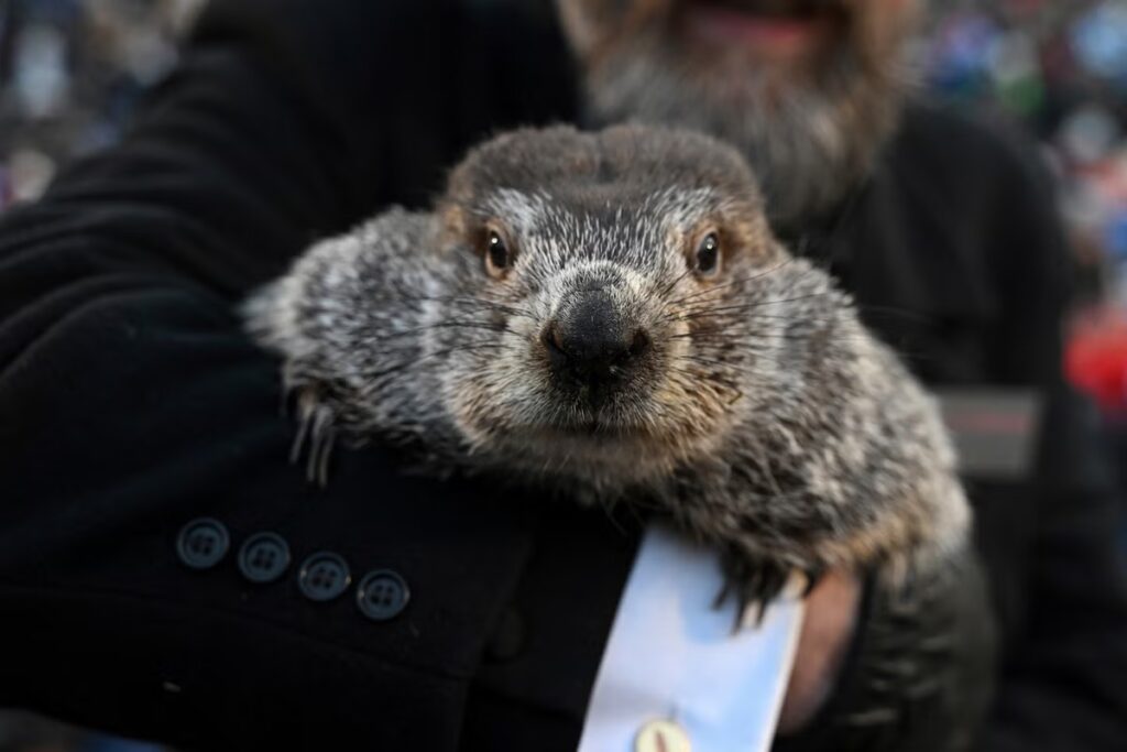 Groundhog_Day_87574.jpg