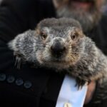 Groundhog_Day_87574.jpg