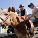 Taiwan_Horse_Therapy_09262.jpg