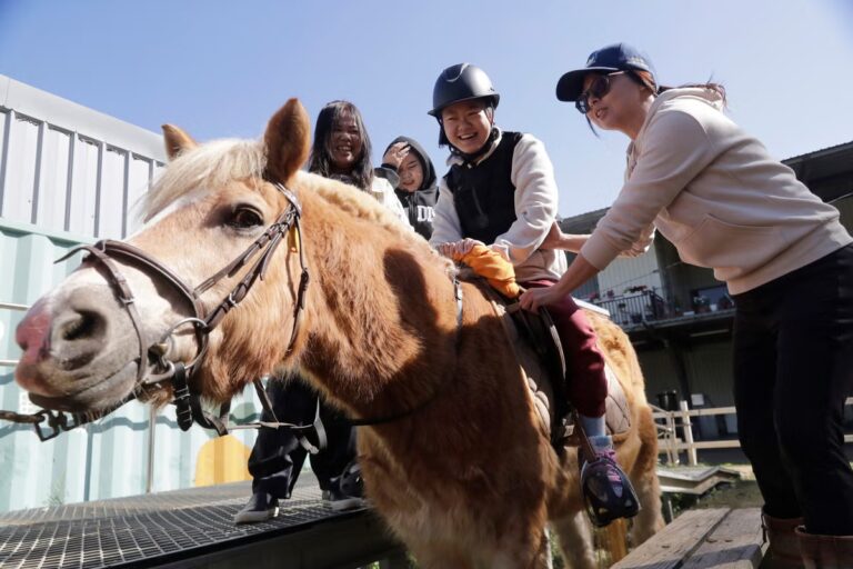 Taiwan_Horse_Therapy_09262.jpg