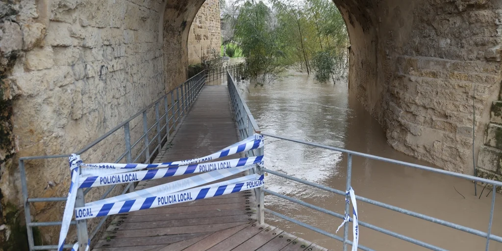 rio-guadalquivir-crecida-U70211363387SRj-1024x512@diario_abc.jpg
