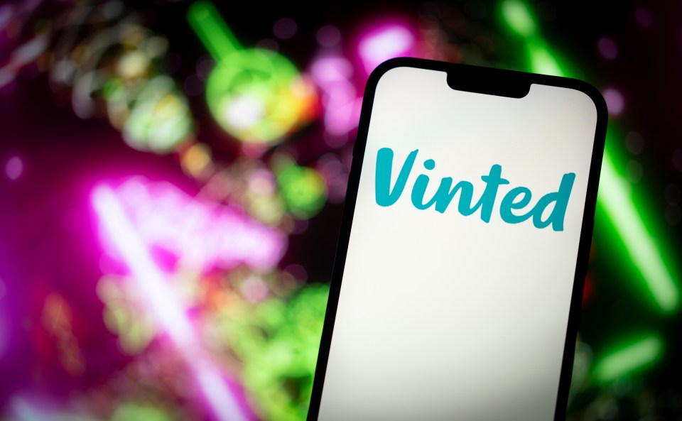 vinted-logo-seen-photo-illustration-870596967_e5ffca.jpg